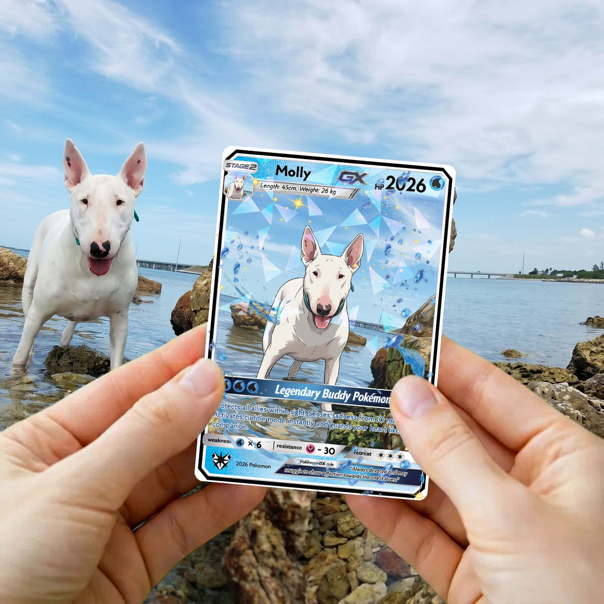 Custom Your Pet as a Pokemon Card, Pet as Pokemon Card, Personalized Anime Dog Portrait, Pet Lover Gift, Pet memorial, Dog Gift, Cat Gift