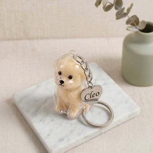A Piece of Your Pet Forever – Personalized Pet Fur Keepsake Holder with Name Tag