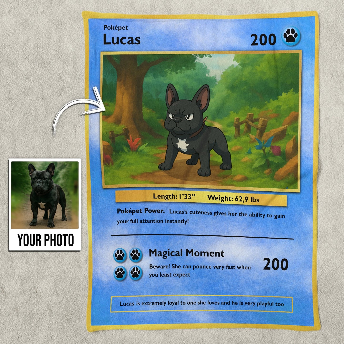 Custom photo pet blanket gift featuring a personalized Pokepet design with a dog illustration